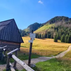 Najlepsze atrakcje w Krościenku nad Dunajcem, które musisz zobaczyć